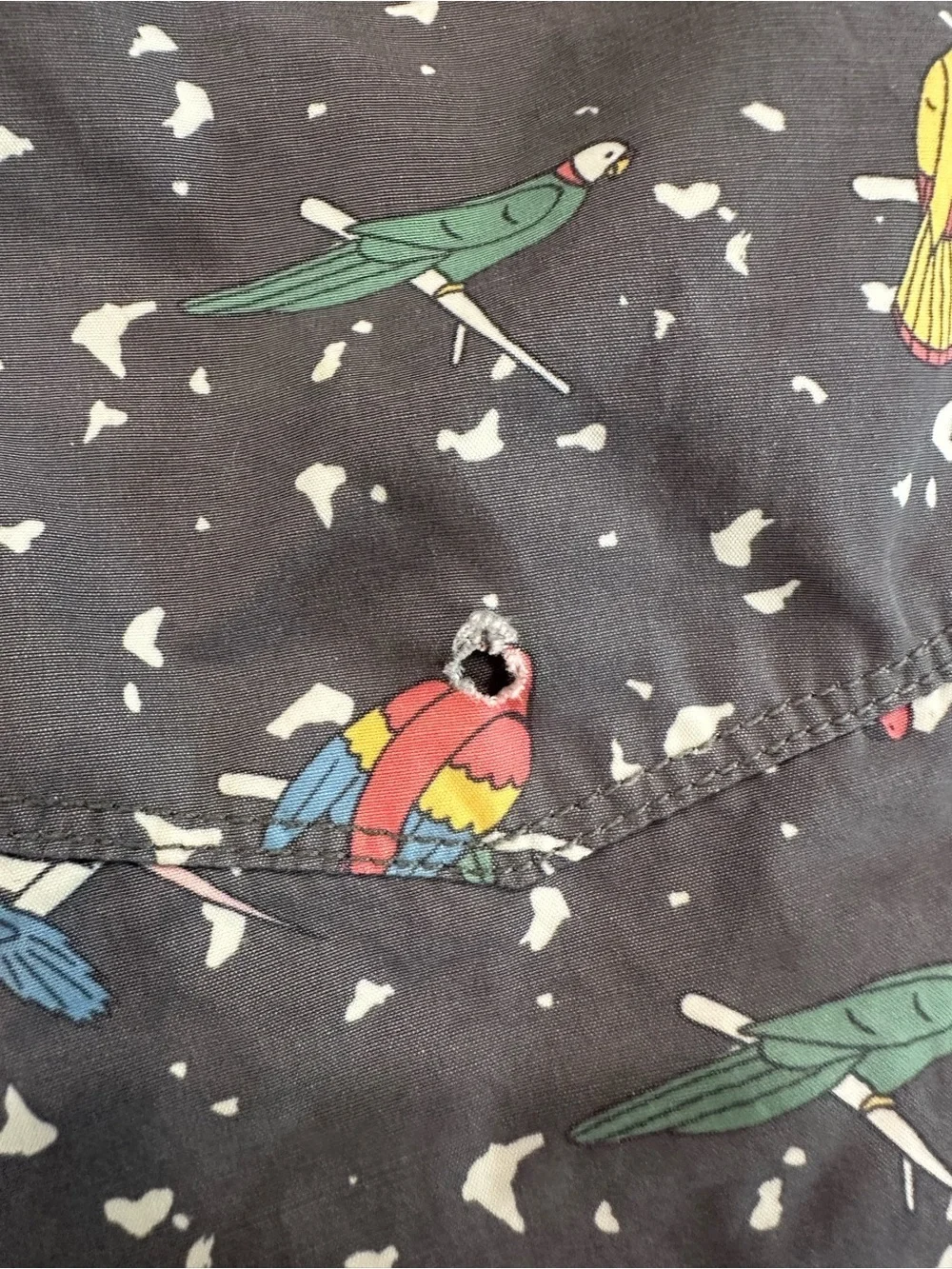 RVCA Charcoal Swim Shorts with Multicolor Parrot Print